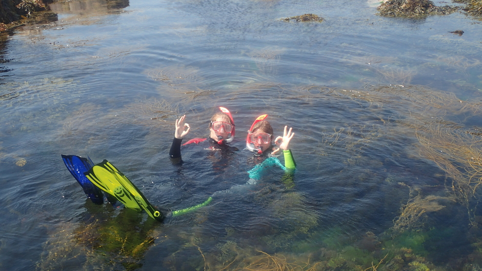 Snorkel Safaris Wembury Marine Centre